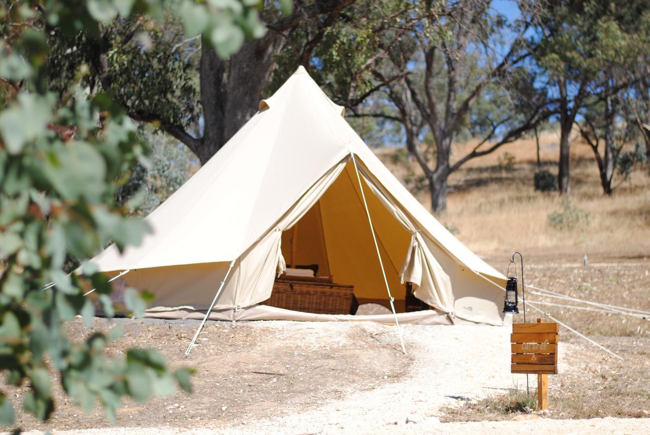 Cosy Tents - Daylesford Luxury tent Yandoit
