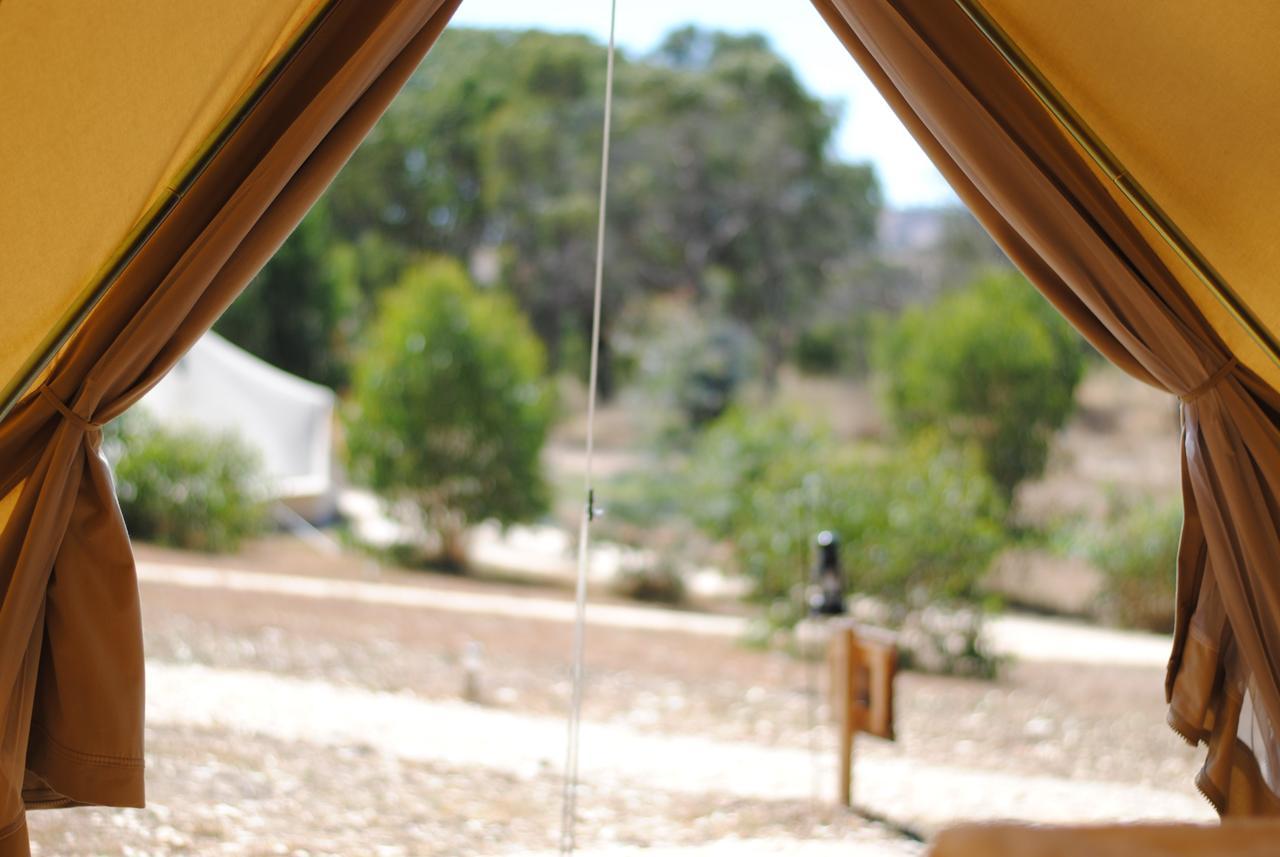 Cosy Tents - Daylesford