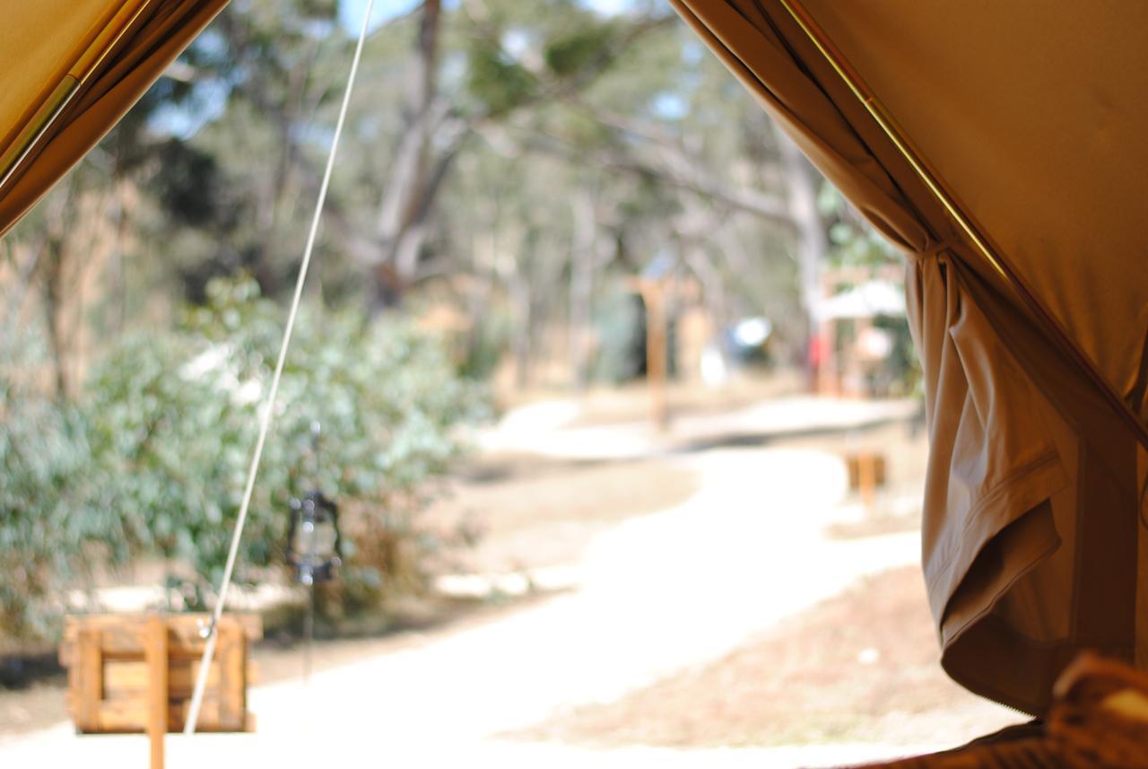 Cosy Tents - Daylesford